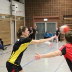 2016_01_23 Landesliga Frauen
